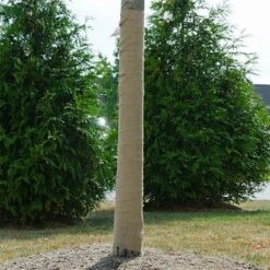 Burlap Tree Wrap, 4-inch X 300-foot Roll -Gardeners Edge Sales 04bw 2 1
