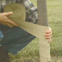 Leonard Crinkled Paper Tree Wrap, 6in X 150ft