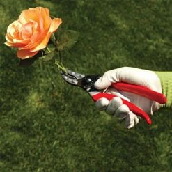 Felco 100 Special Application - Cut & Hold Pruning Shears -Gardeners Edge Sales 100fel 4