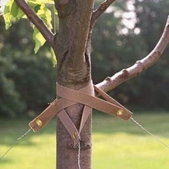The Original Treestrap 18 Inch Length Pack Of 20 -Gardeners Edge Sales 1018 20 1