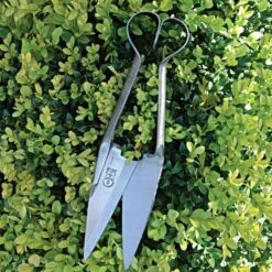Carbon Steel RHS-Endorsed Topiary Shear, Small -Gardeners Edge Sales 106smge 2