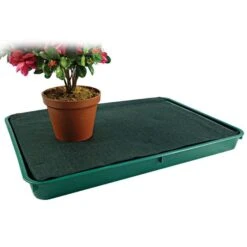 Large Green Self-Watering Tray