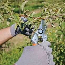 Leonard Pro Comfort Pruning Shears, 0.75-inch Cutting Capacity -Gardeners Edge Sales 1212 4