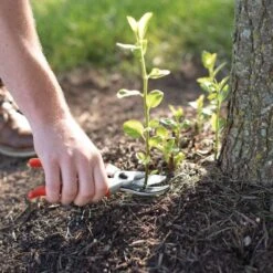 Traditional Bypass Pruners By A.M. Leonard, 1in Cutting Capacity, Lifetime Warranty -Gardeners Edge Sales 1286 8