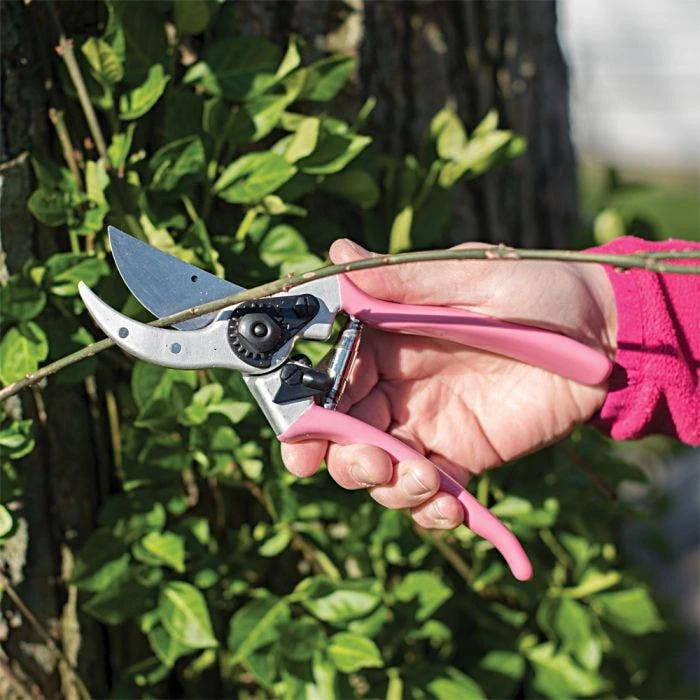 Pink Leonard Traditional Bypass Pruners 1 Inch Cutting Capacity 7 Pink Leonard Traditional Bypass Pruners 1 Inch Cutting Capacity - Image 5