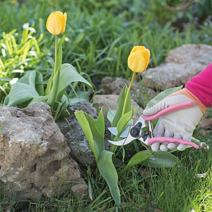 Pink Leonard Traditional Bypass Pruners 1 Inch Cutting Capacity 8 Pink Leonard Traditional Bypass Pruners 1 Inch Cutting Capacity - Image 6
