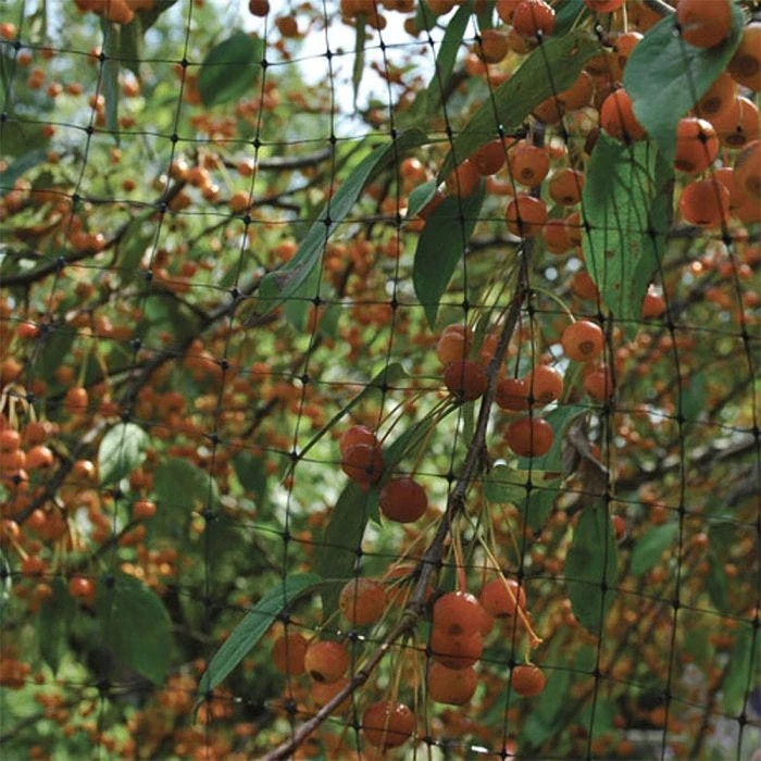Netting For Trees And Garden, 0.75in Black Square Mesh, 14ft X 45ft 4 Netting For Trees And Garden, 0.75in Black Square Mesh, 14ft X 45ft - Image 2