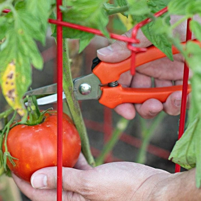 Leonard Pointed Tip Stainless Steel Hand Shears 7.5 Inch Length 5 Leonard Pointed Tip Stainless Steel Hand Shears 7.5 Inch Length - Image 3