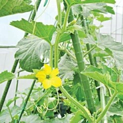 Knotty Takiron Green Steel Stakes, 5 8 Inch X 6 Feet Bundle Of 10 -Gardeners Edge Sales 166tsk 4