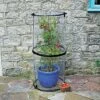 Twist Up Tomato Cloche 2 Twist Up Tomato Cloche -Gardeners Edge Sales 1686903tdge live 1