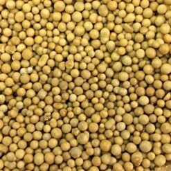 Osmocote 18-6-12 Slow Release Fertilizer, 8-9 Month -Gardeners Edge Sales 18612 2