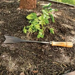 Asparagus Weeder Steel Knife -Gardeners Edge Sales 19ak live2 7.20.22