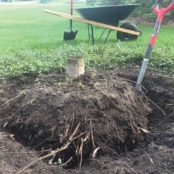 Radius Root Slayer -Gardeners Edge Sales 22011 5