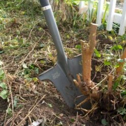 Radius Root Slayer -Gardeners Edge Sales 22011 8