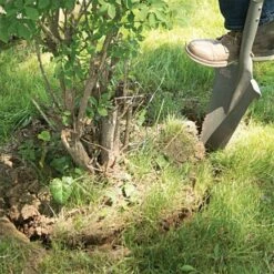 Radius Root Slayer XL -Gardeners Edge Sales 22511 1