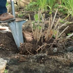 Radius Root Slayer XL -Gardeners Edge Sales 22511 3 1