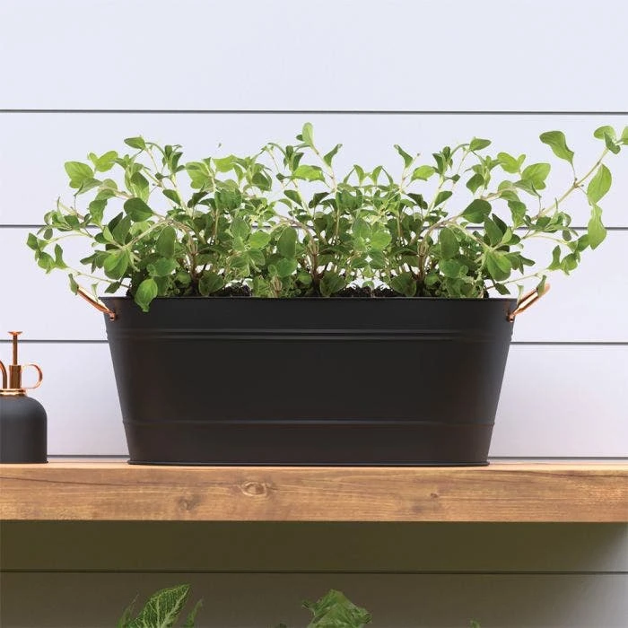 16" Modern Farmhouse Oval Washtub Planter 4 16" Modern Farmhouse Oval Washtub Planter - Image 2