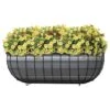Trug Harvest Basket / Planter With Bistro Print Liner - Matte Black