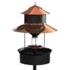 Modern Farmhouse Solar Gaslight Feeder - 4 Lbs -Gardeners Edge Sales 254431ge 1