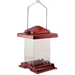 Vista 6 Lbs. Squirrel-Resistant Feeder