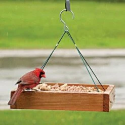 3-In-1 Platform Wood Feeder -Gardeners Edge Sales 27124009f live hanging