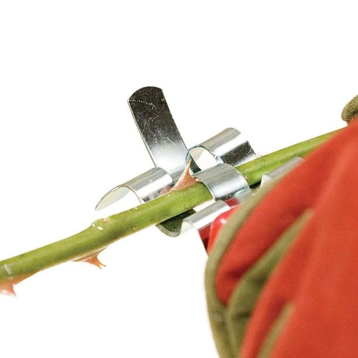 Thorn Stripper And Leaf Removal Tool 4 Thorn Stripper And Leaf Removal Tool - Image 2