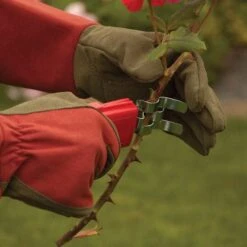 Thorn Stripper And Leaf Removal Tool 16 Thorn Stripper And Leaf Removal Tool -Gardeners Edge Sales 280dt 5