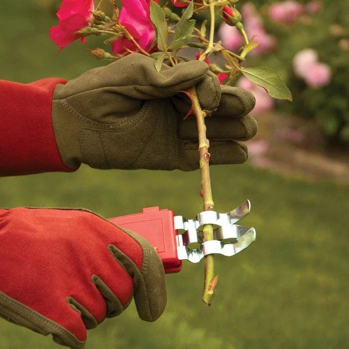 Thorn Stripper And Leaf Removal Tool 9 Thorn Stripper And Leaf Removal Tool - Image 7