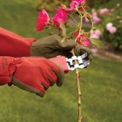 Thorn Stripper And Leaf Removal Tool 18 Thorn Stripper And Leaf Removal Tool -Gardeners Edge Sales 280dt 7