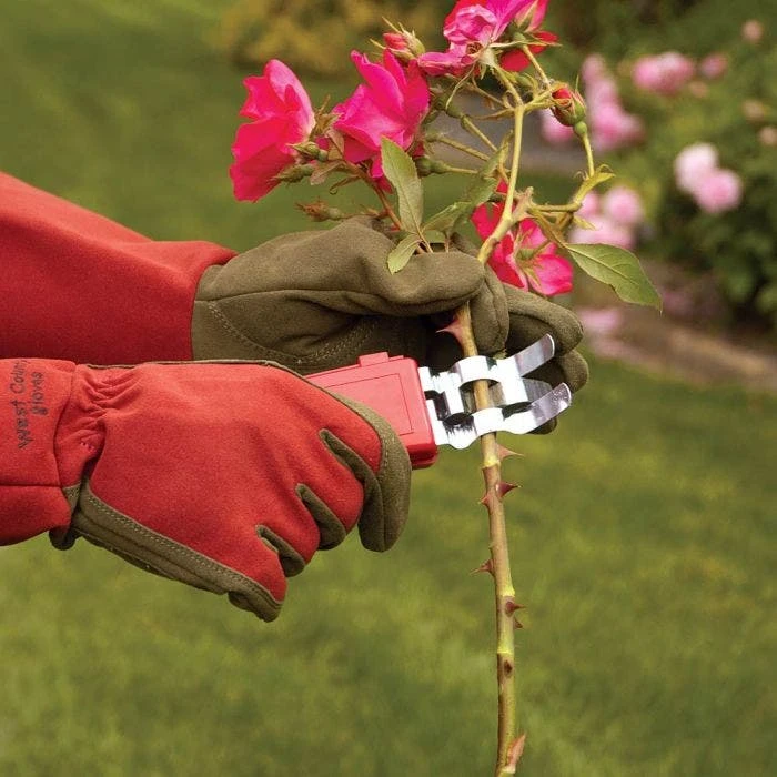 Thorn Stripper And Leaf Removal Tool 10 Thorn Stripper And Leaf Removal Tool - Image 8