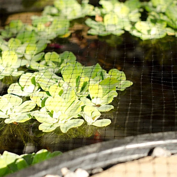 Netting For Trees And Garden, 0.75in Black Square Mesh, 28ft X 28ft 4 Netting For Trees And Garden, 0.75in Black Square Mesh, 28ft X 28ft - Image 2