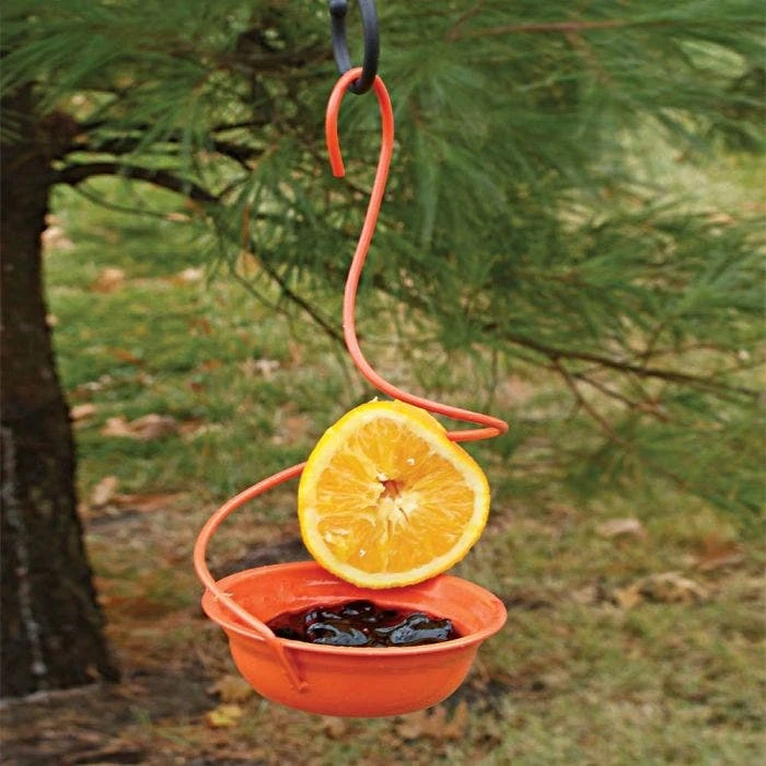 Orange Metal Jelly Feeder 4 Orange Metal Jelly Feeder - Image 2