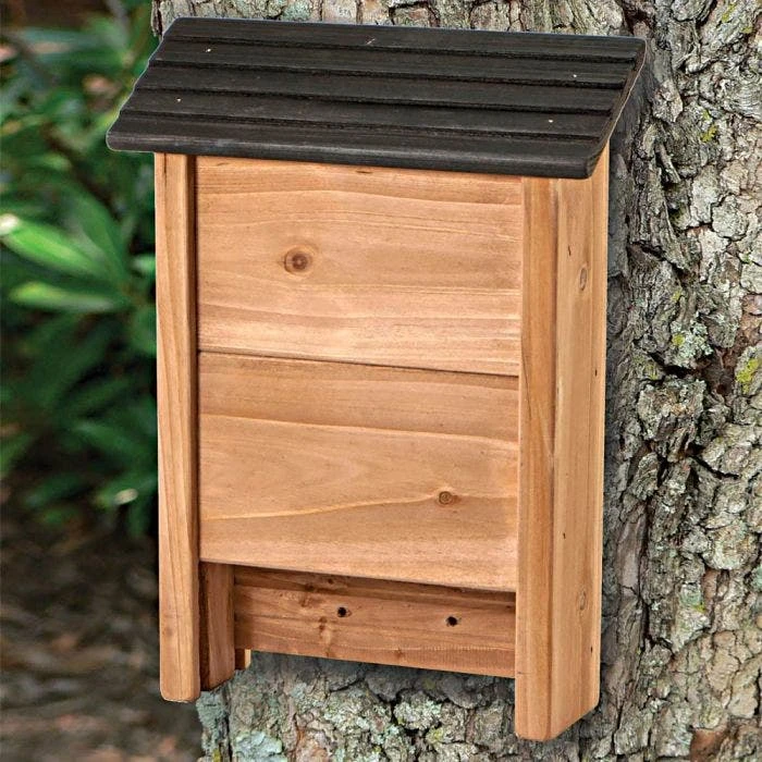 Wood Bat Shelter With Black Roof, Natural Wood 4 Wood Bat Shelter With Black Roof, Natural Wood - Image 2
