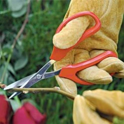 Leonard Stainless Steel Specialty Hand Shears With Case -Gardeners Edge Sales 3080ws 2