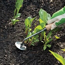 Dewit Weeder - Disc 10" Handle -Gardeners Edge Sales 3109071tdge 3 1