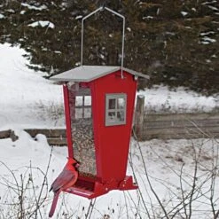 Snack Shack Squirrel-Resistant Feeder - 7 Lbs -Gardeners Edge Sales 3968ge live 1