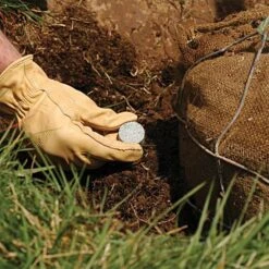 Leonard 3g Fertilizer Tablets For Containers, 3-4 Month Controlled Release (14-4-6) -Gardeners Edge Sales 3gct 3 1