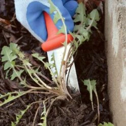 Classic Stainless Steel Soil Knife By A.M. Leonard, 6in Dual Edged Blade, Lifetime Warranty -Gardeners Edge Sales 4750 9