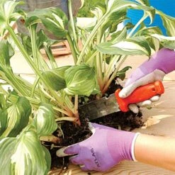 Deluxe Stainless Steel Soil Knife By A.M. Leonard, 6in Dual Edged Blade, Lifetime Warranty -Gardeners Edge Sales 4752 4