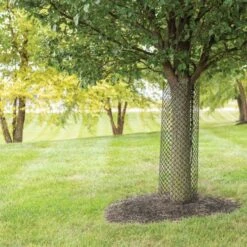 Leonard Mesh Panel Tree Guards Pack Of 10 -Gardeners Edge Sales 4815g 2