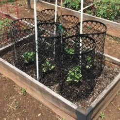 Leonard Mesh Panel Tree Guards Pack Of 10 -Gardeners Edge Sales 4815g 4