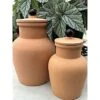 Plant Nanny 1 Liter Olla In-Ground Waterer -Gardeners Edge Sales 4pn1olla1 4ge 5pn3olla1 4ge ollas