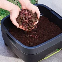 Maze Worm Farm -Gardeners Edge Sales 5rsi mc worm worms 1