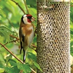 All Weather Nyger Feeder -Gardeners Edge Sales 60053027am live