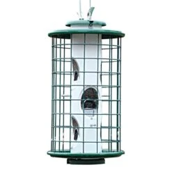 Mixed Seed Feeder - 4.5 Lbs