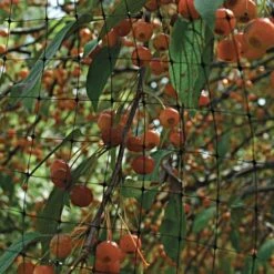 Netting 7ft X 100ft 3/4in Square Mesh -Gardeners Edge Sales 725pn 2