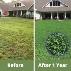 Micro Clover-1kft. 7 Micro Clover-1kft. -Gardeners Edge Sales 743flge before after 1