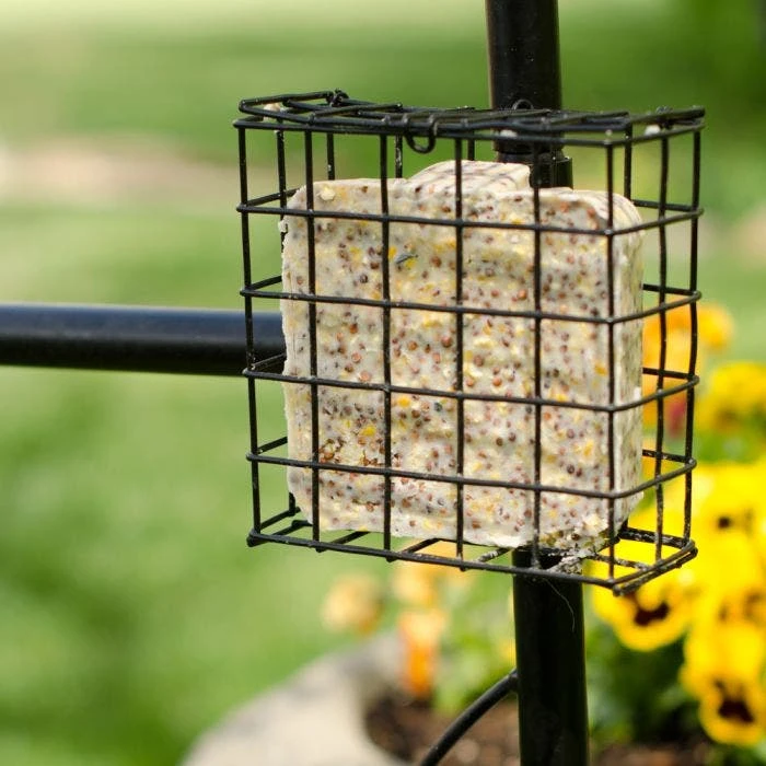 Bird Motif Arbor With Bird Feeding Station 12 Bird Motif Arbor With Bird Feeding Station - Image 10