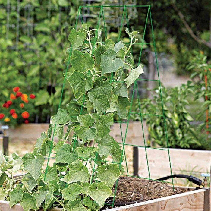Fold Out A-Frame Vegetable Support, Green 4 Fold Out A-Frame Vegetable Support, Green - Image 2