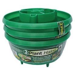Green Plant Halos 3pk